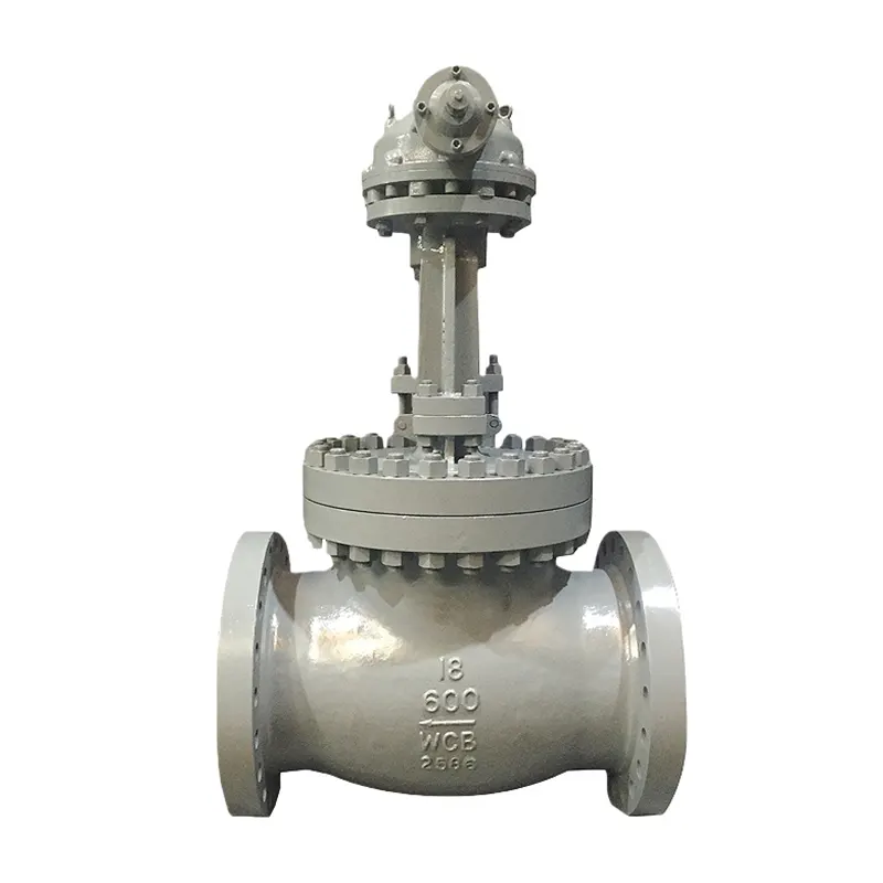 Korrosiebestande Globe Valve