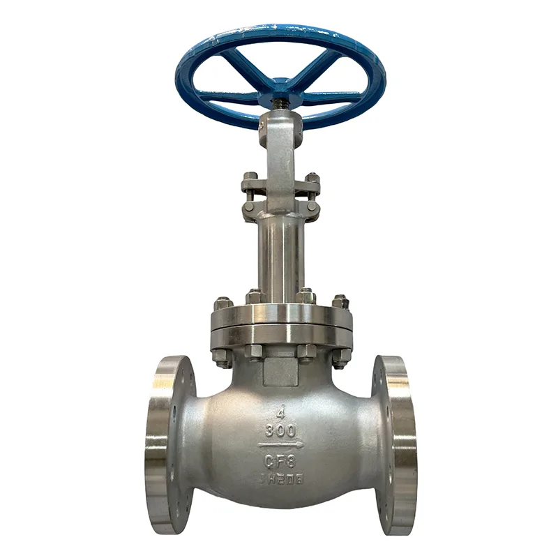 Vlekvrye staal Flens Globe Valve